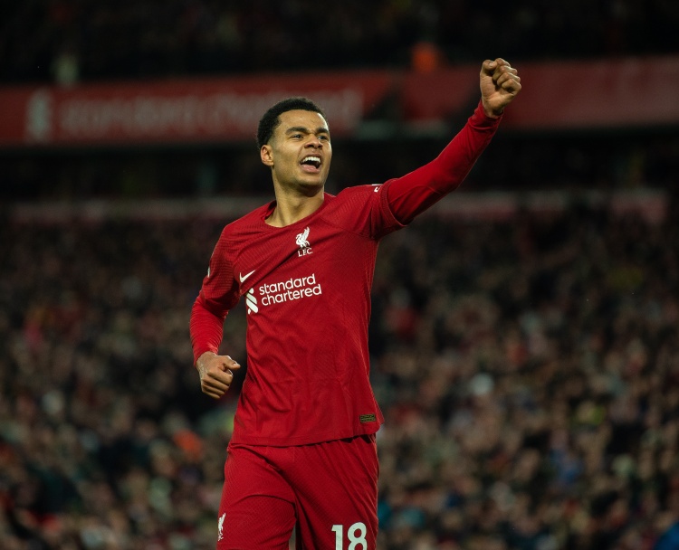 范尼:我让加克波等到夏天再看是否去曼联,他去利物浦是听范迪克